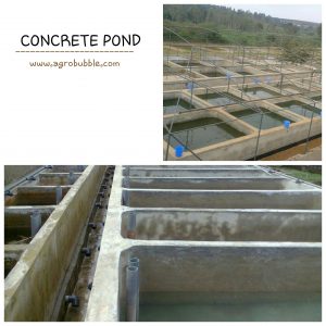 CONCRETE POND