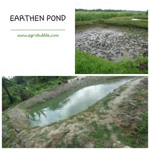 EARTHEN POND