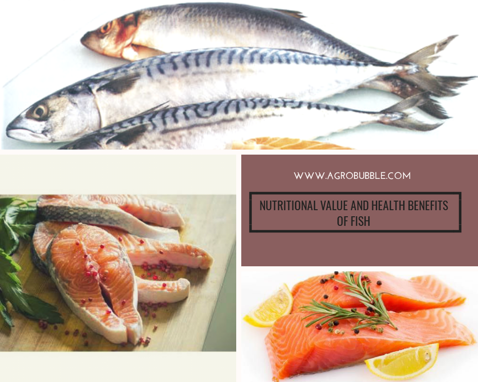 Benefits of eating fish for skin and hair | Agrobubble