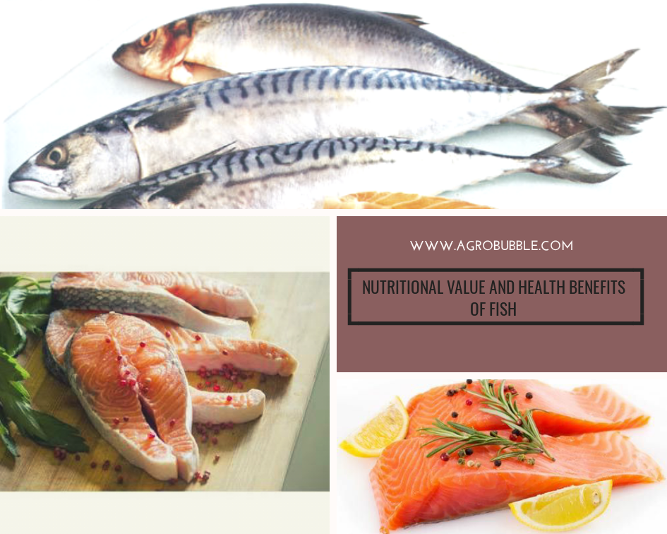 NUTRITIONAL VALUE AND HEALTH BENEFITS OF FISH