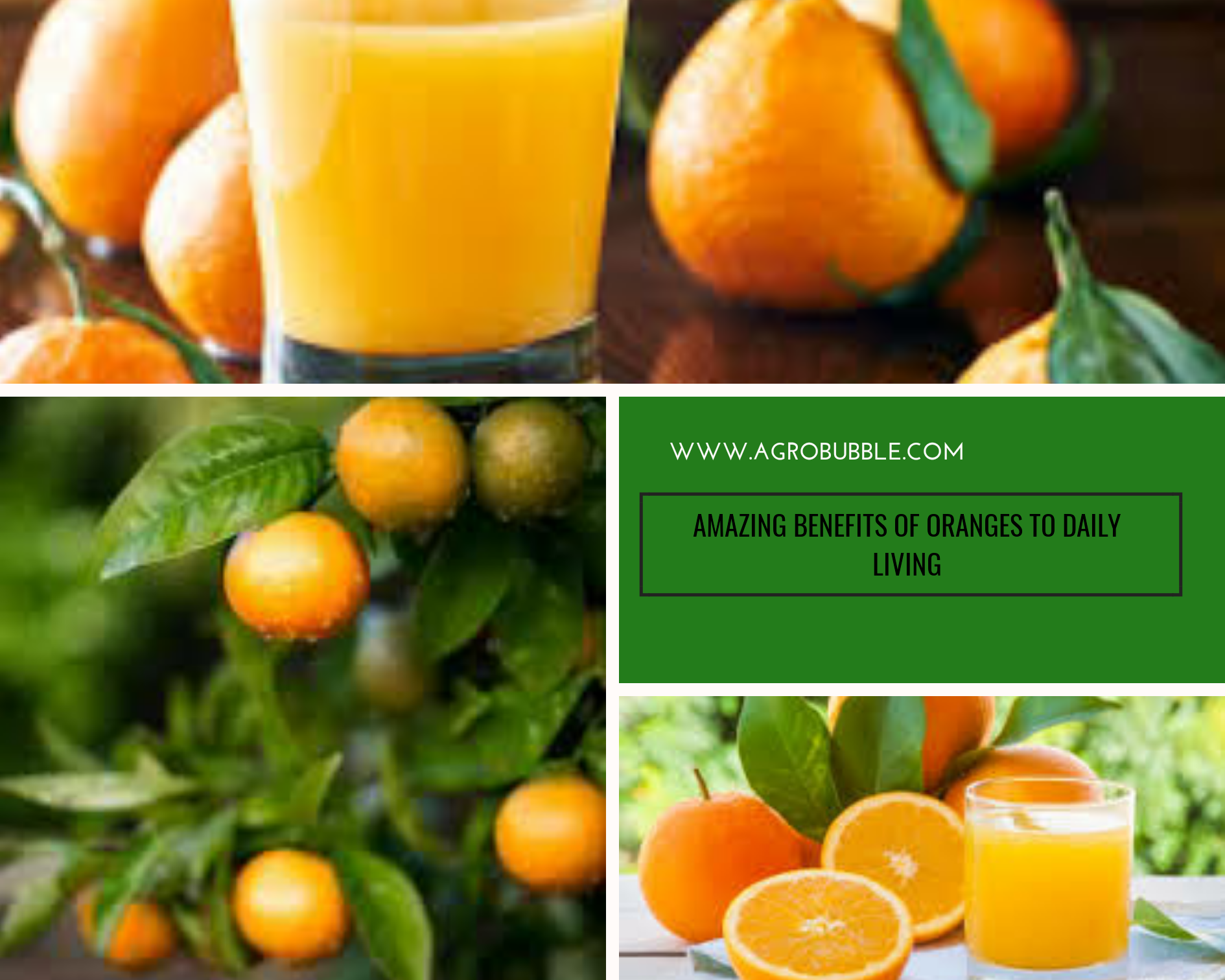 orange health benefits