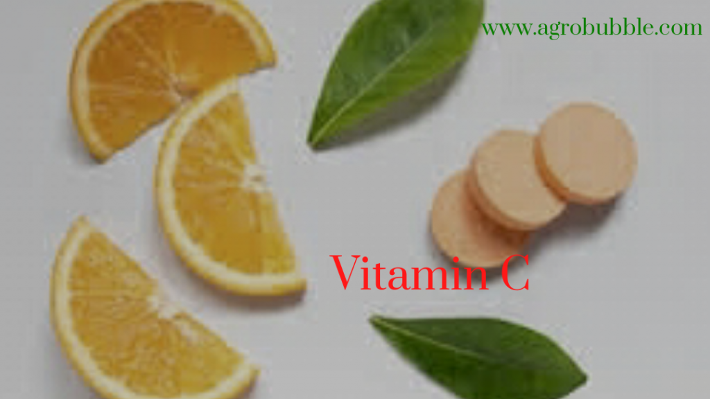 Orange Health Benefits to Daily Living Agrobubble