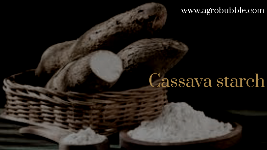 Cassava Starch- Agrobubble