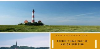 Agricultural Role in Nation Building