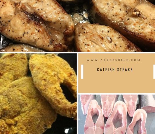 Catfish Steaks