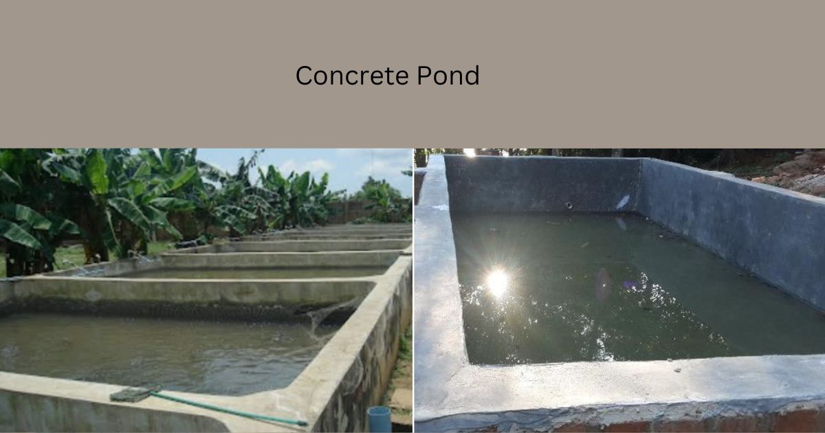 Concrete Pond