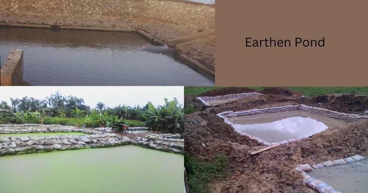 Earthen Pond