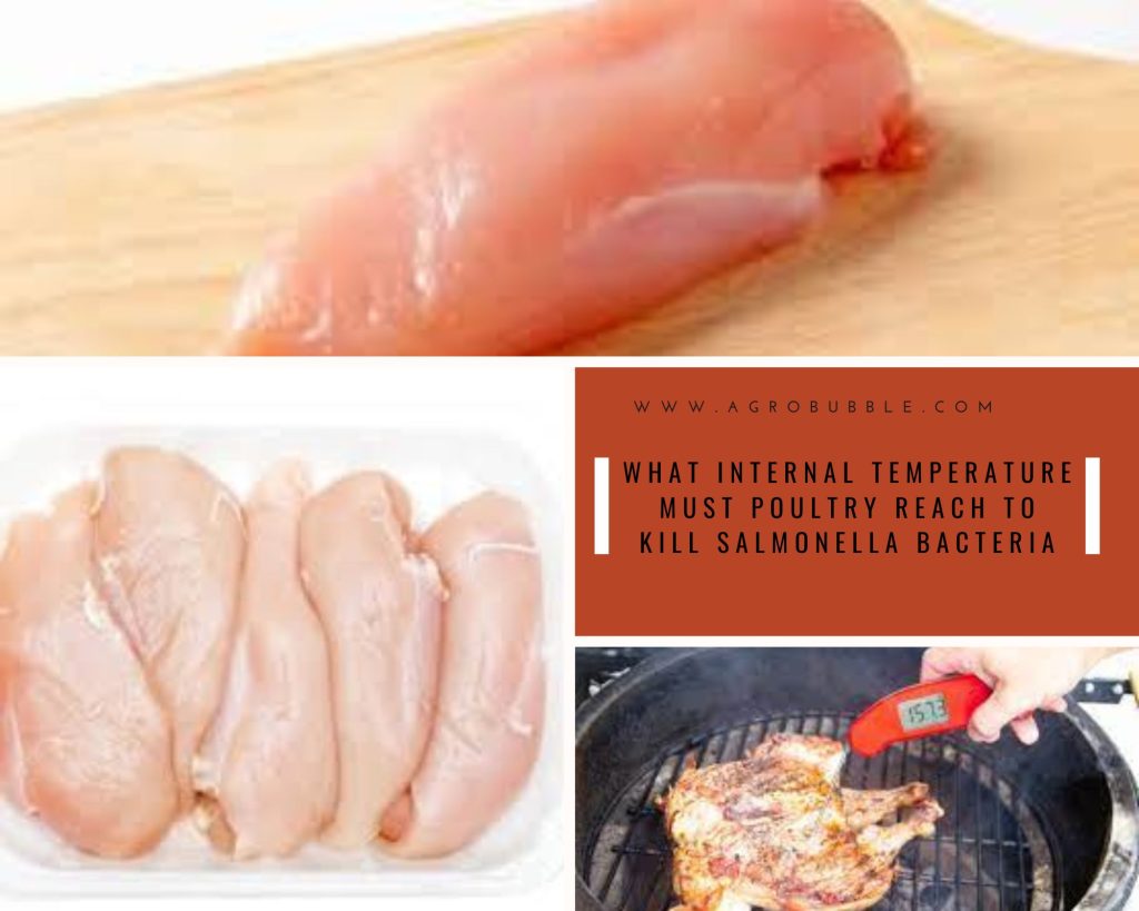 Agrobubble Agriculture and Travel Blog.