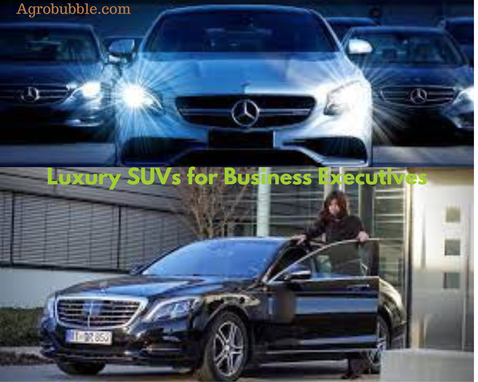 Luxury SUVs for Business Executives