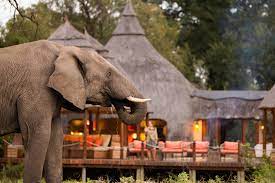 South Africa Safari Resort